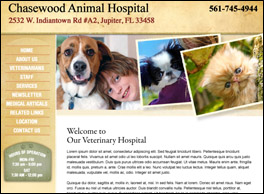 Site3: veterinarian website